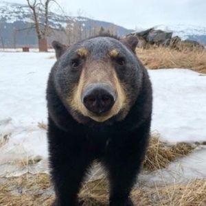 Meet your Posher, Reese